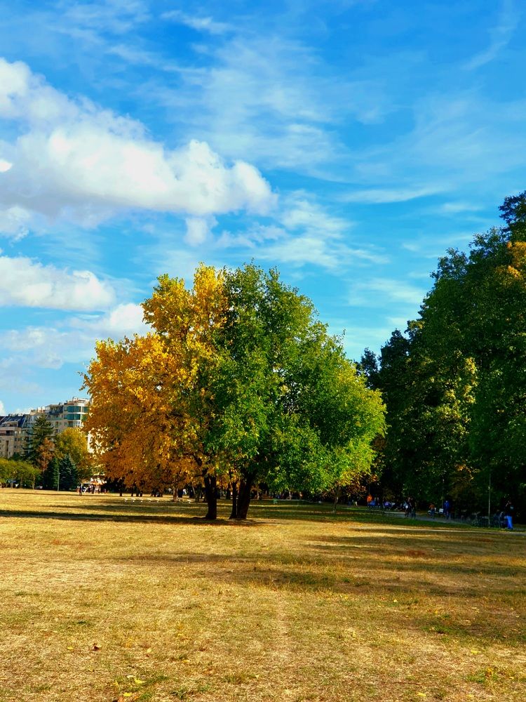 Autumn in Sofia