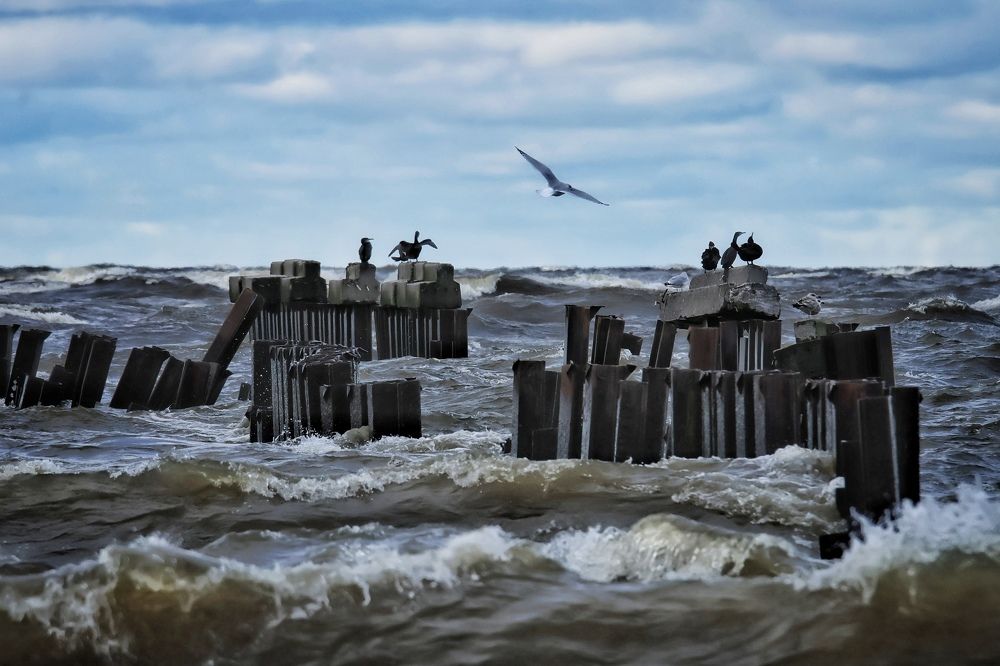 Photograph by Olga Asson