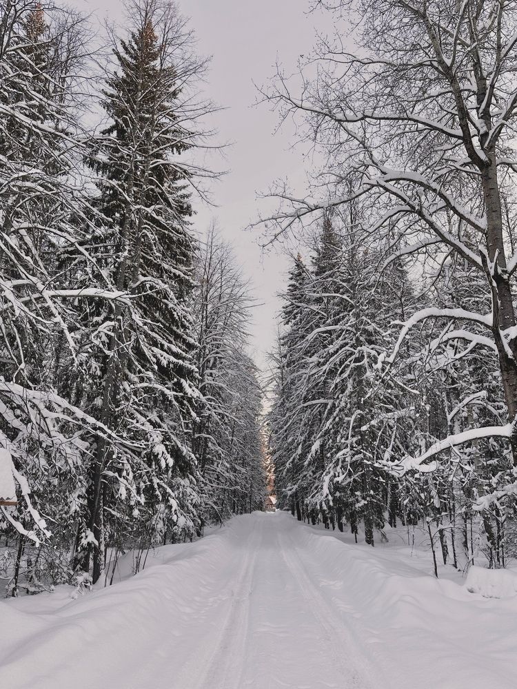 Photograph by Гуляева Светлана