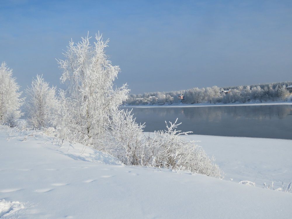 Photograph by Галина Пименова