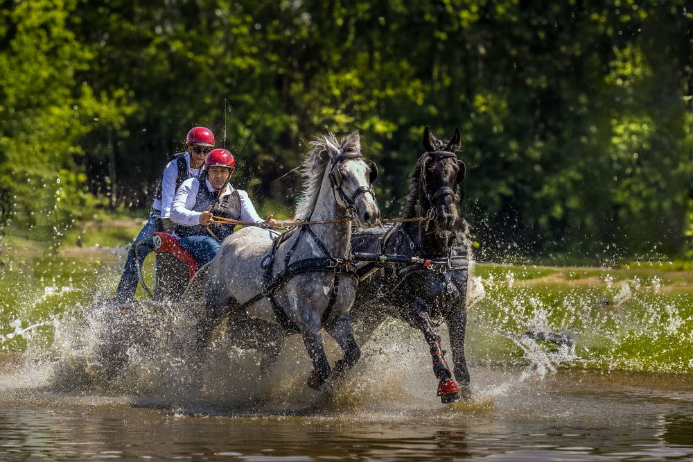 Photograph by Constantin Lazar
