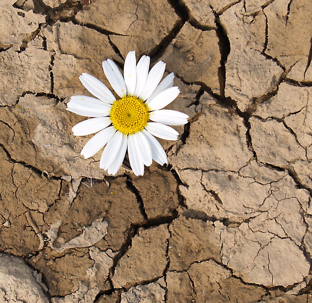 Photograph by Agita Leimane