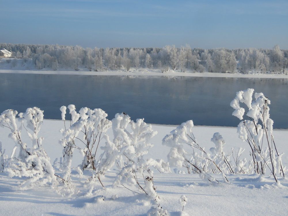 Photograph by Галина Пименова