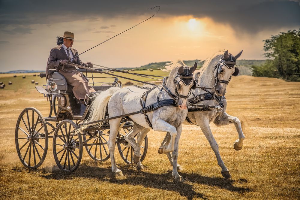 Photograph by Constantin Lazar