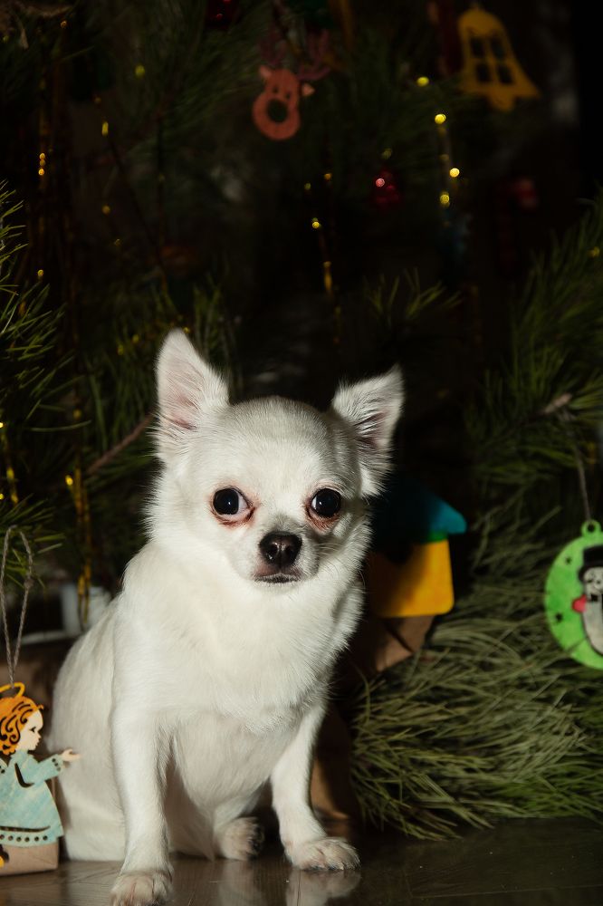 Photograph by Наталья Мулина