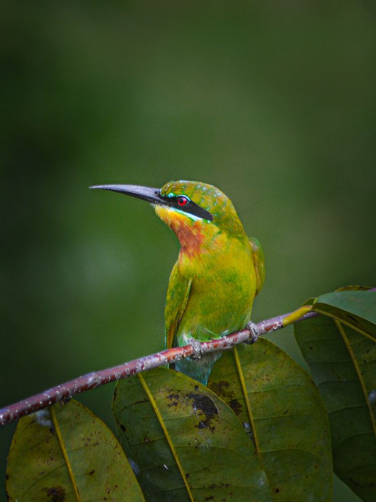 Photograph by Kasun Wickramasinghe