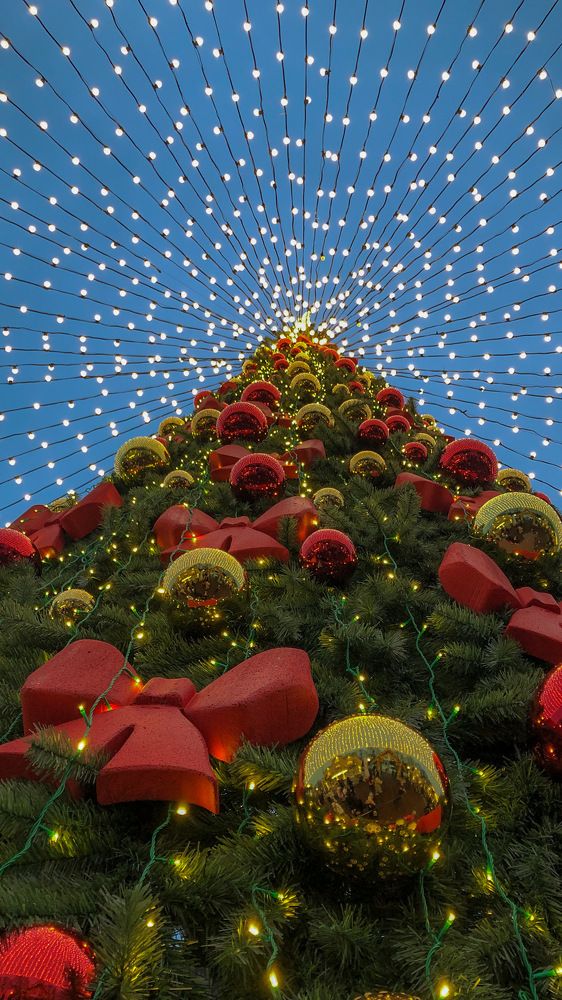 Photograph by Магомедова Айшат