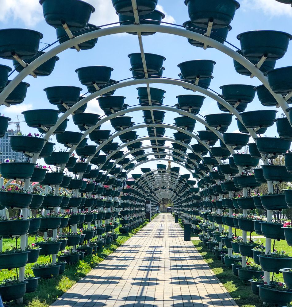 Photograph by Магомедова Айшат