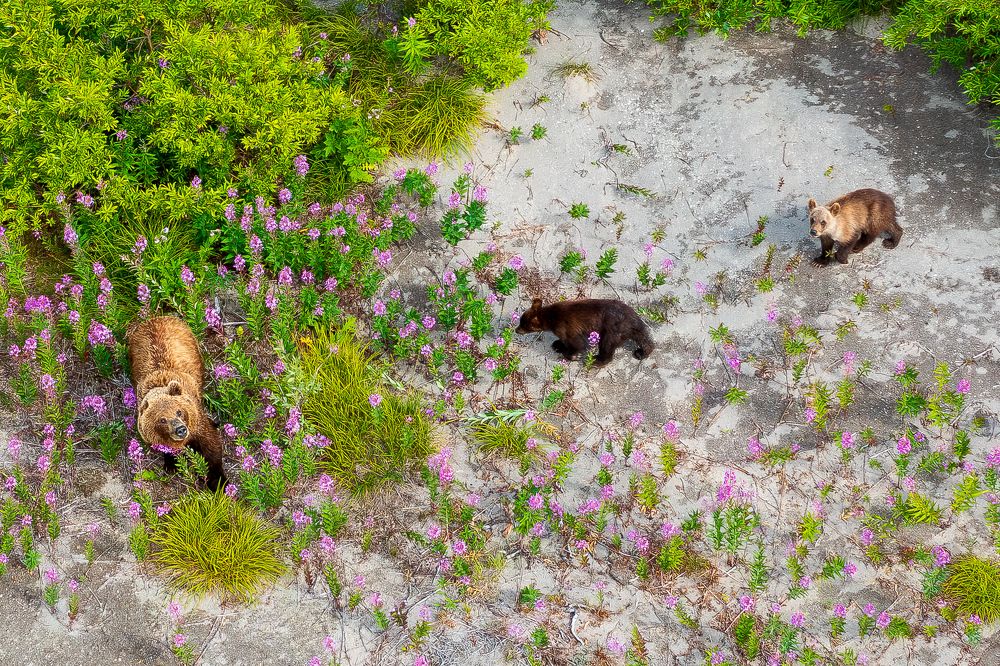 Photograph by Константин Венцлавович