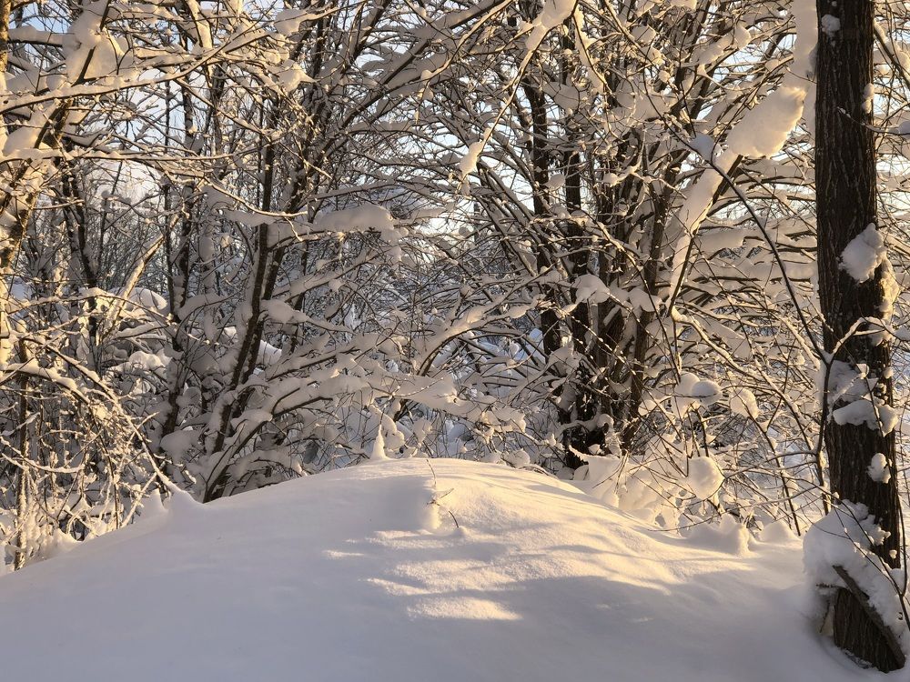 Photograph by Мария Бессмертная