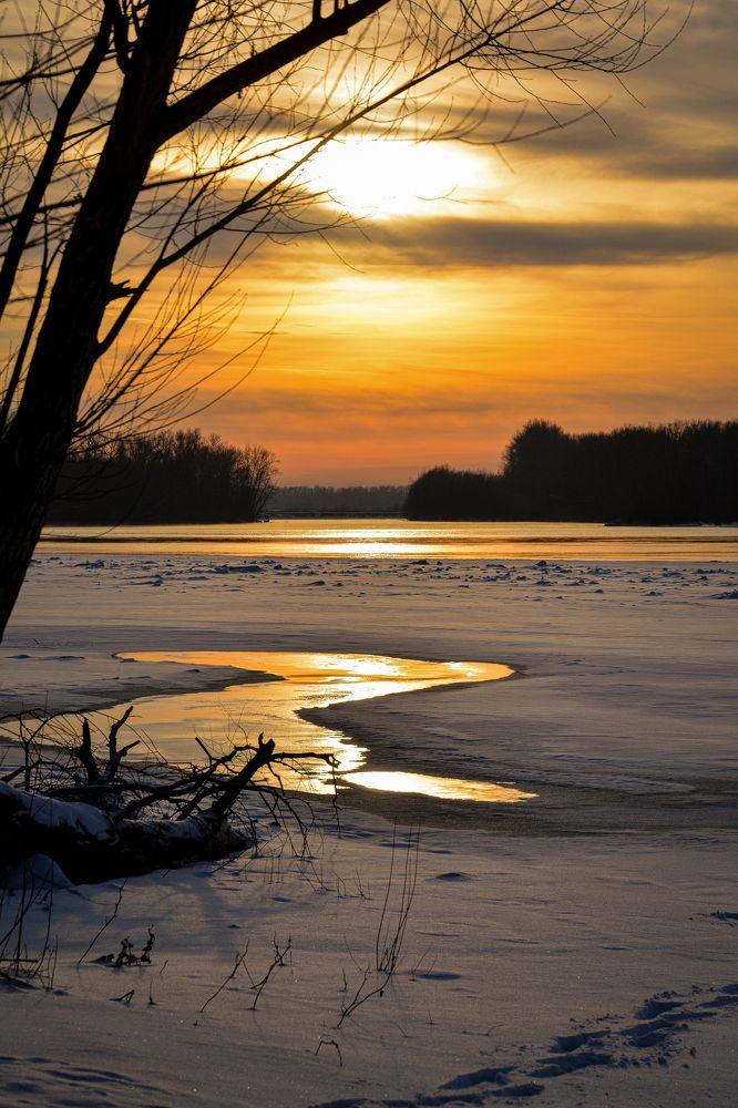 Photograph by Ольга Андронова