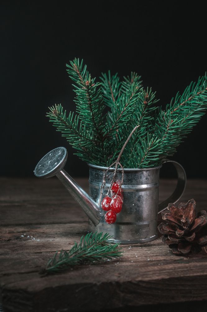 Photograph by Ольга Сергеенко