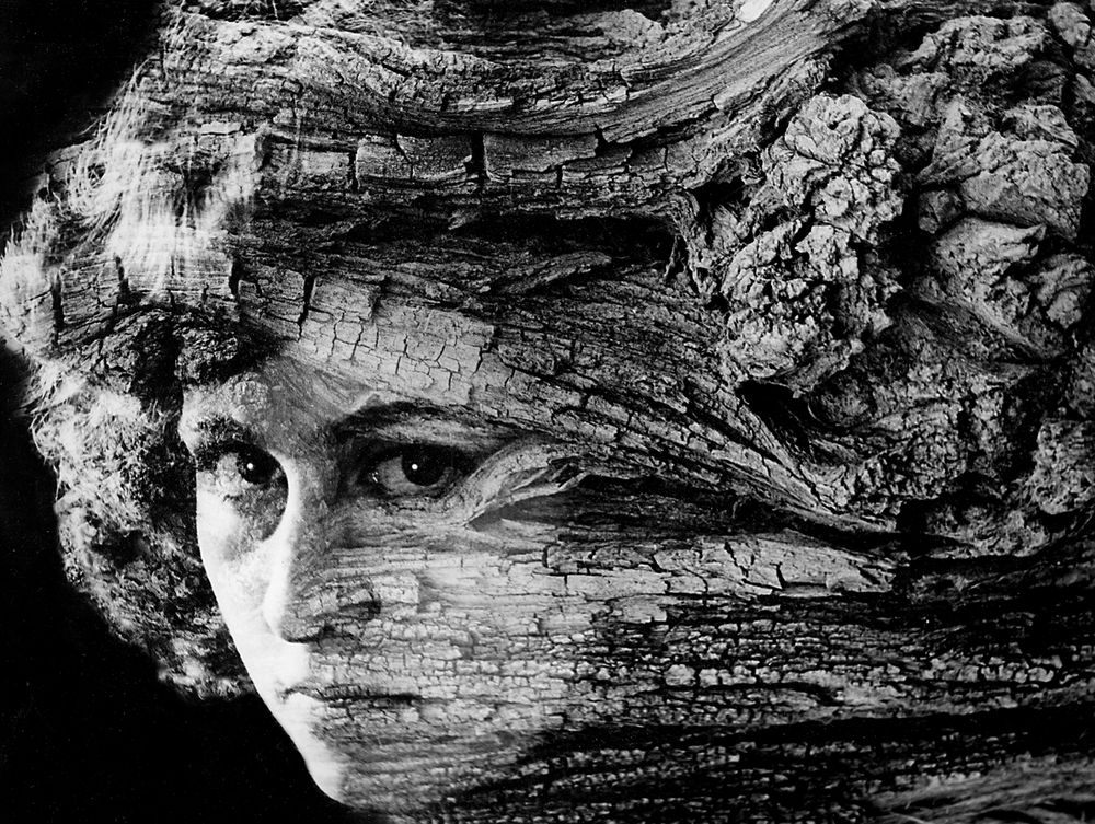 Фотография автора Meer GHERSBERG