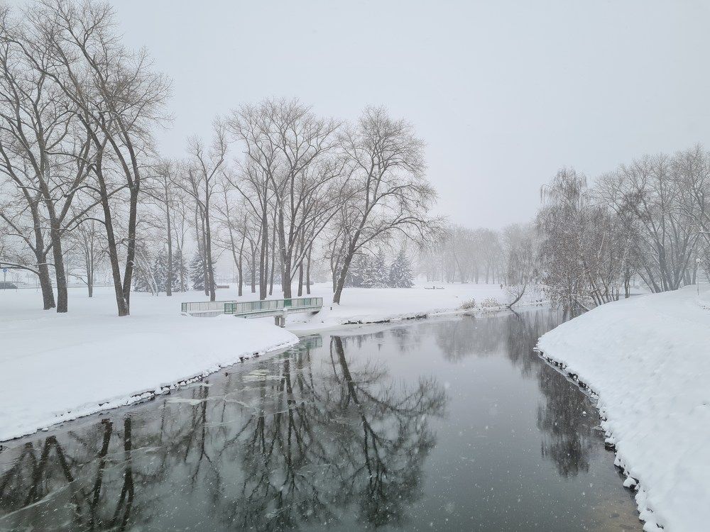 Photo #10067638