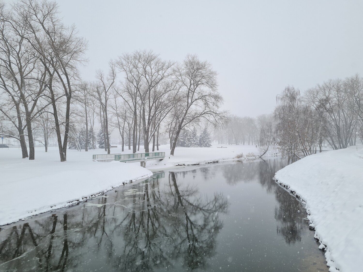 Photo #10067638