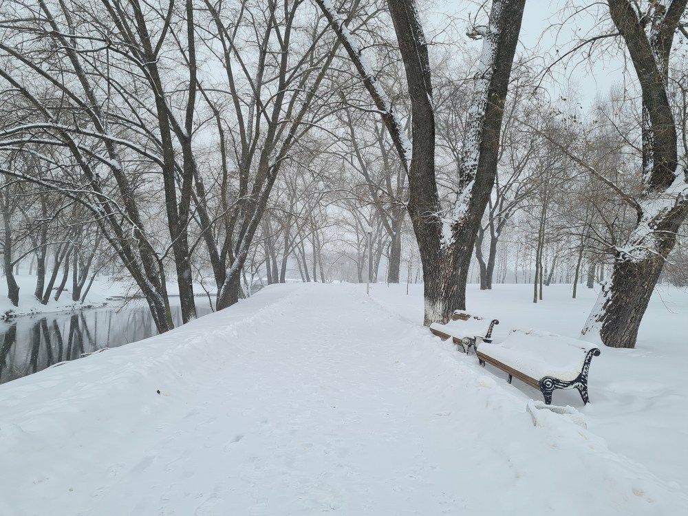 Photograph by Елена Никитюк
