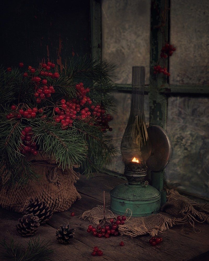 Фотография автора Инга Шевелёва