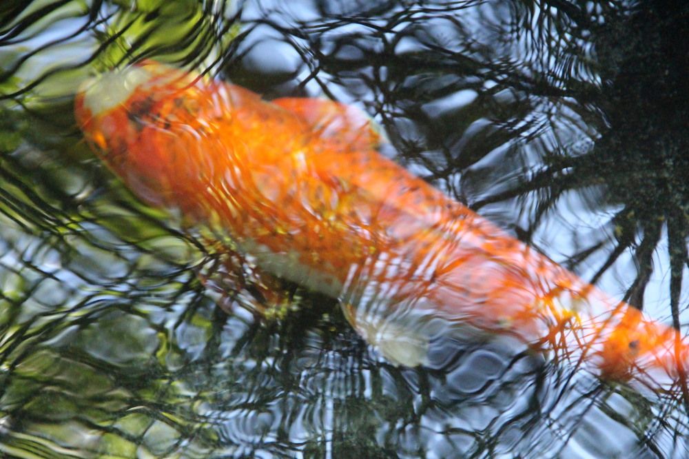 Photograph by Валентина