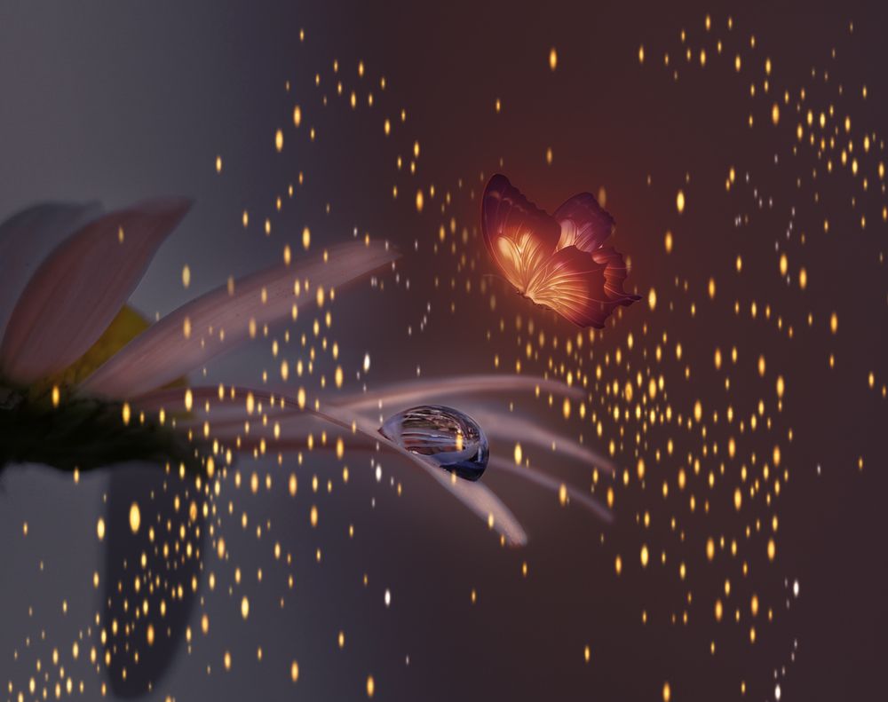 Photograph by Natalia Bolotenkova