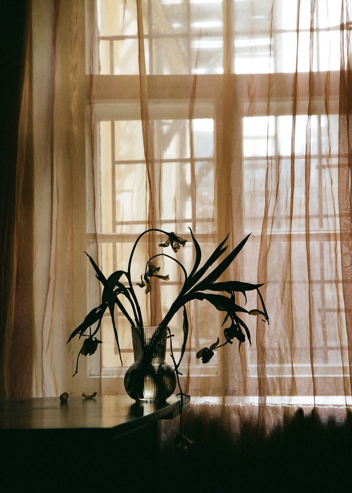 Photograph by Наталья Жук