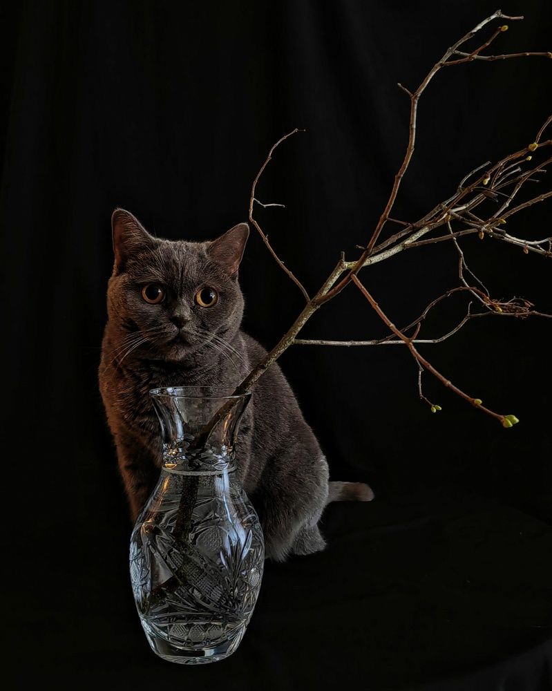 Photograph by Ольга Третьякова