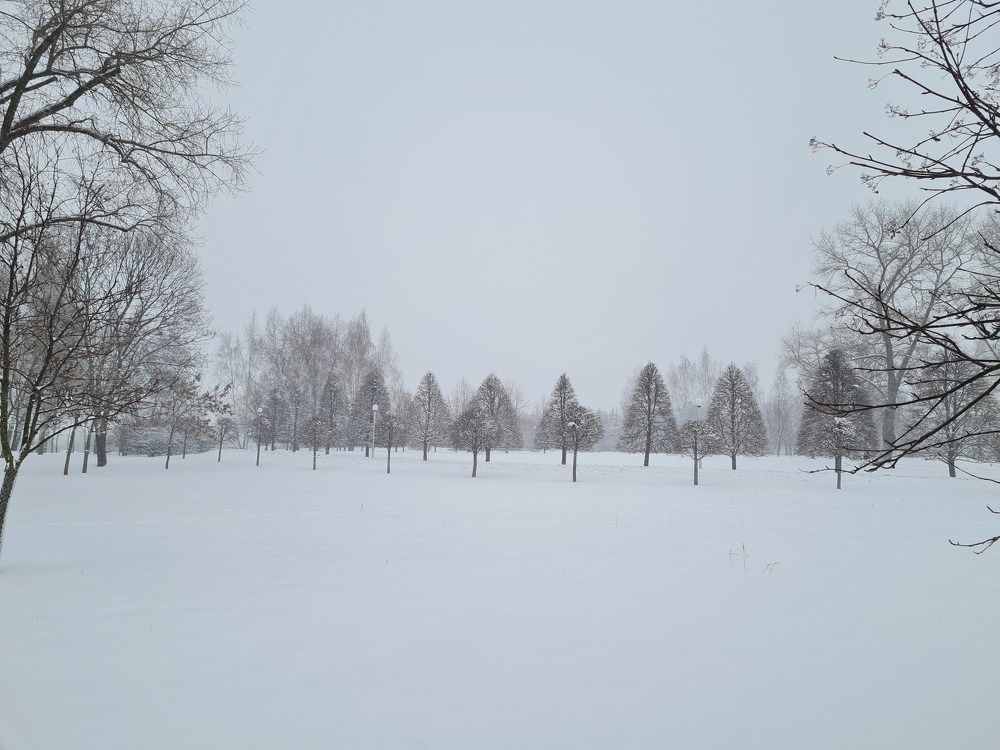 Photograph by Елена Никитюк