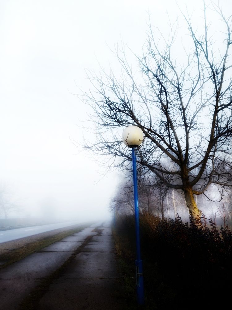 Фотография автора JELENA VASIC