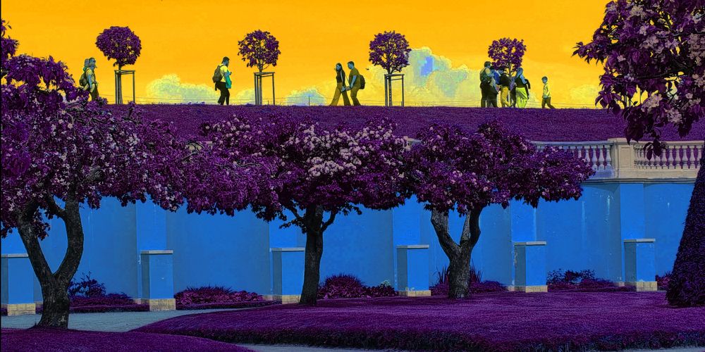 Photograph by Marie G