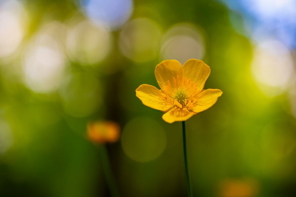 Photograph by Константин Венцлавович