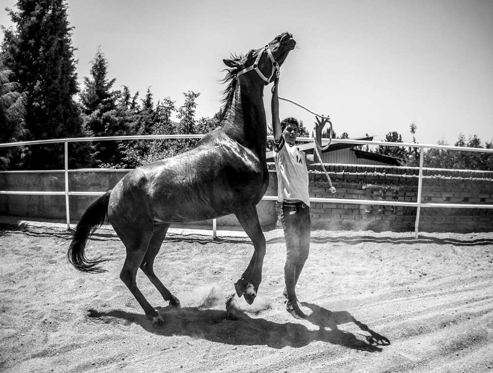 Photograph by DAMOUN POURNEMATI