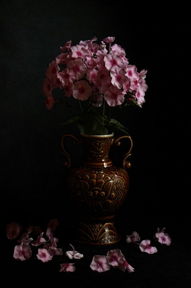Photograph by Екатерина Антонова