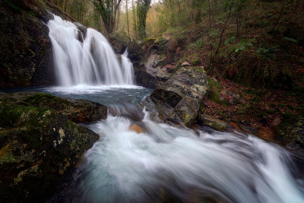 Majestic Water Wonders