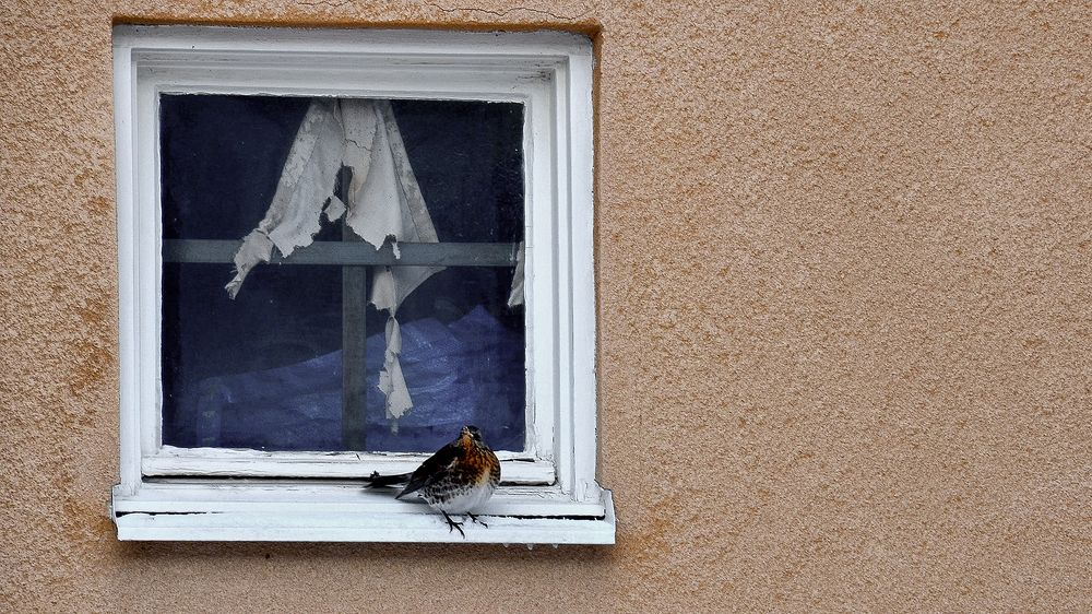 Всё возможно в нашем Мире (Everything is possible in our World)