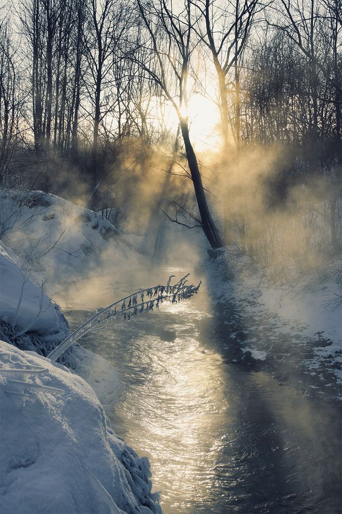 Фотография автора Кулешов Сергей