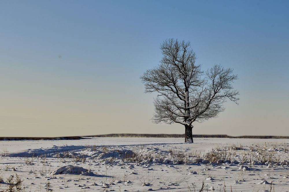 Photograph by Голованов Николай