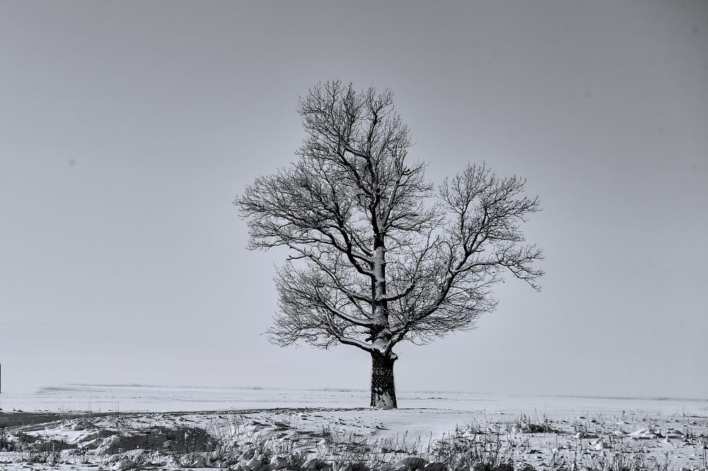 Photograph by Голованов Николай
