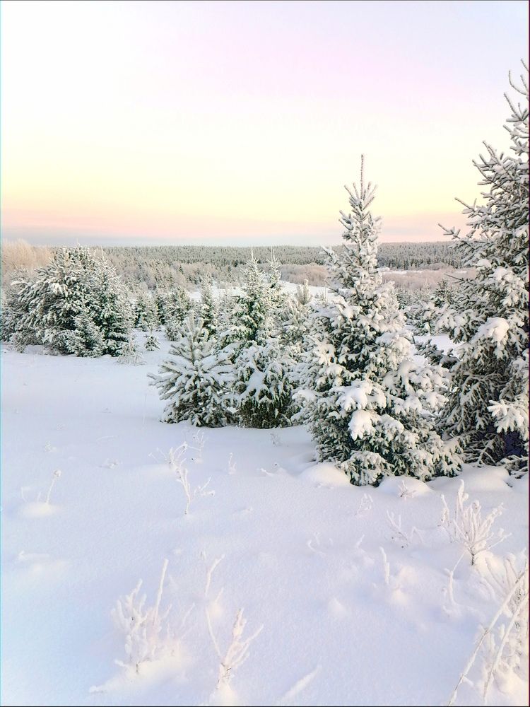 Photograph by Татьяна Бешенкина