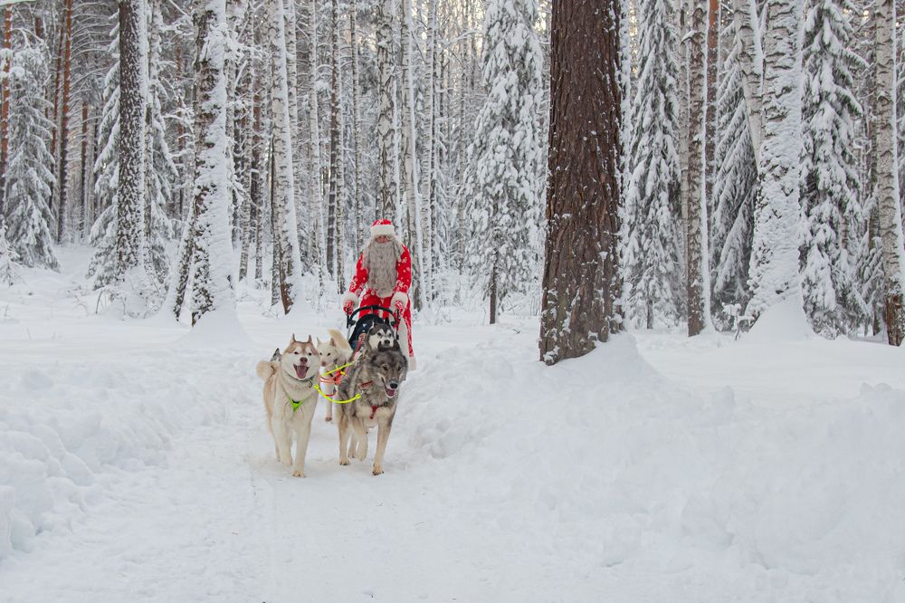 Photograph by Екатерина Абросова