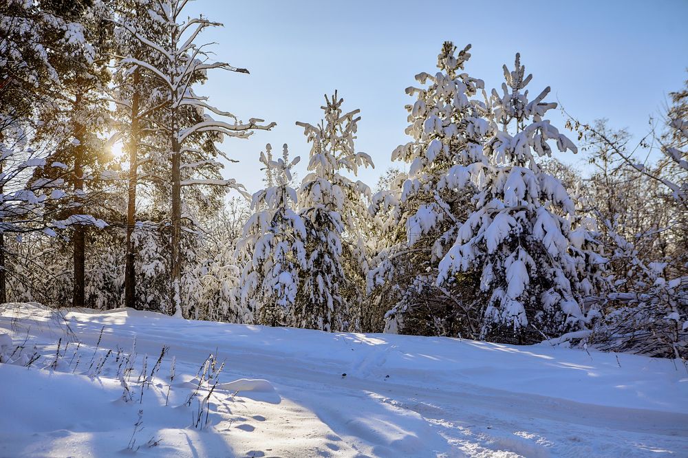 Photograph by Голованов Николай