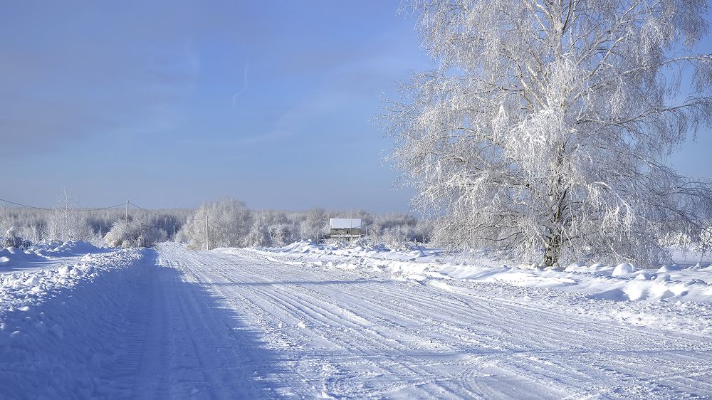 Photograph by Алексей Парамонов