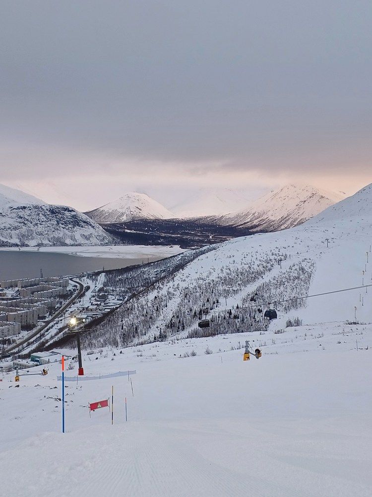 Photo #10068312