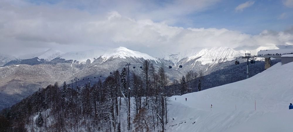 Photo #10068327