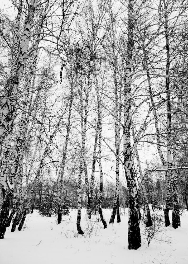 Photograph by Марина Ильева