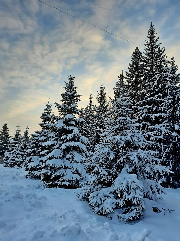 Photograph by Марина Ильева