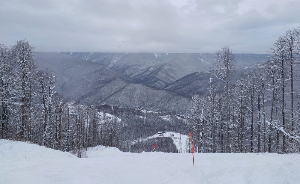 Photo #10068388