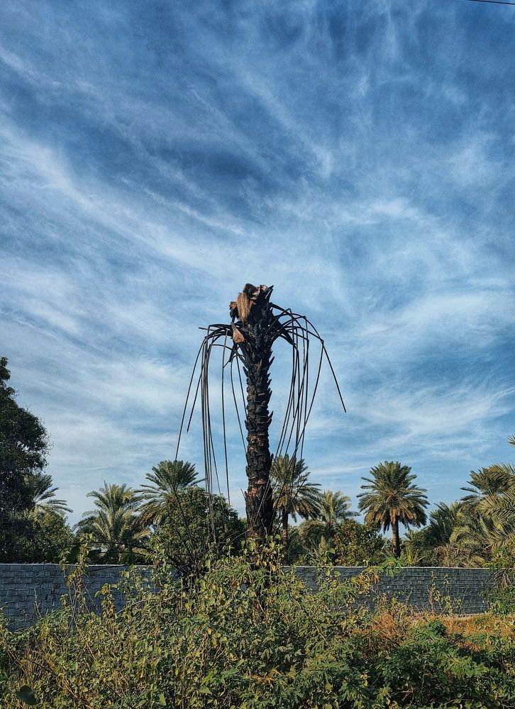 Photograph by mohammad gangozari
