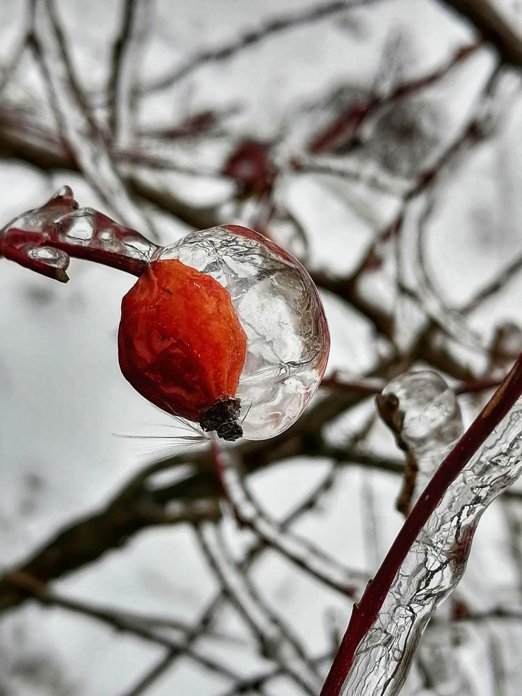 Photograph by Анжелика