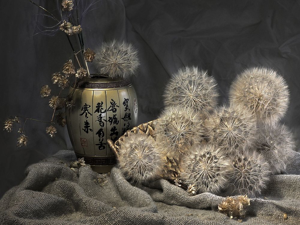 Photograph by Заболотская Ольга