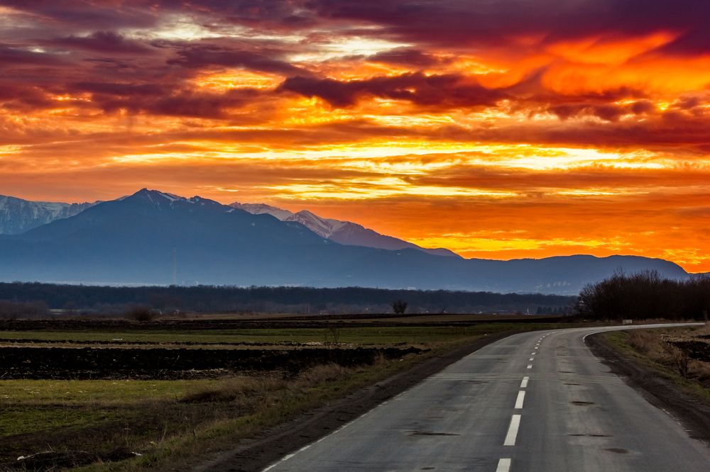 Фотография автора COMSA BOGDAN