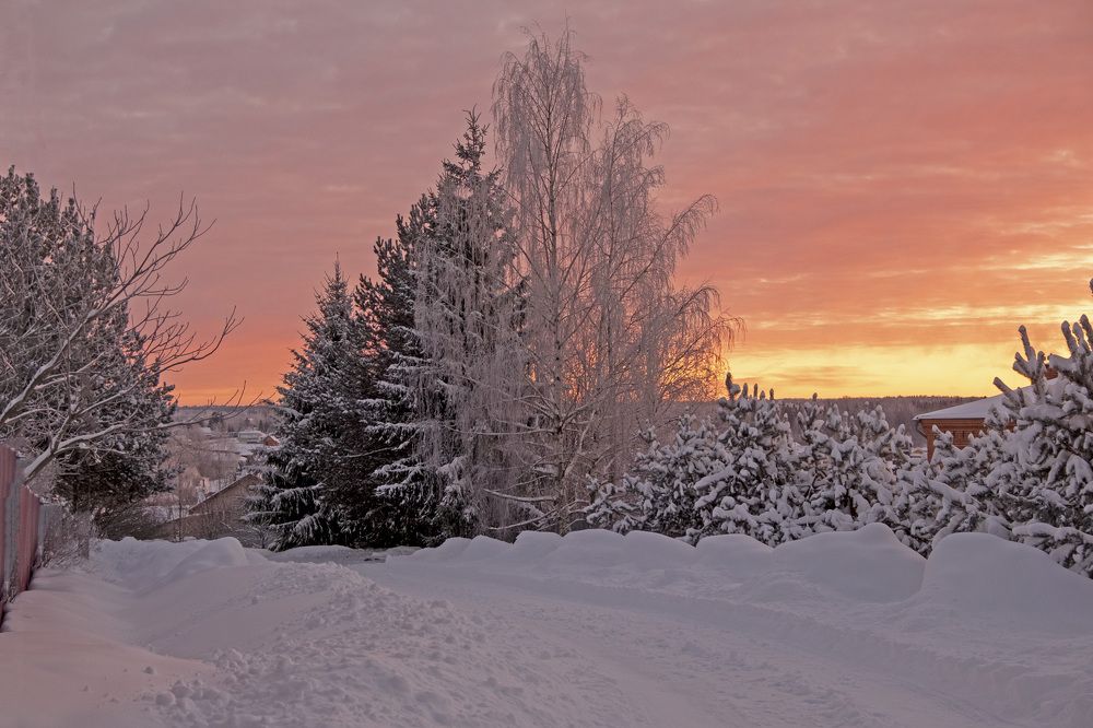 Фотография автора Наталья Липовская